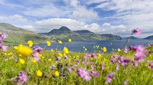 The mountains and cliffs of Streymoy with the Vestmannasund. The island Streymoy The mountains and cliffs of Streymoy with the Vestmannasund. The island Streymoy