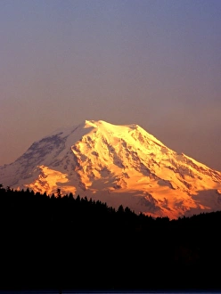 US Mountain Range Scenery Prints: Mt. Rainier is bathed in the setting sun