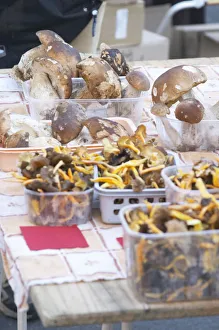 Mushrooms (porcini or cepes and chanterelles) for sale at a market stall at the market Mushrooms (porcini or cepes and chanterelles) for sale at a market stall at the market