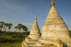 Myanmar. Bagan. Minochantha Stupa group and palm trees beyond Myanmar. Bagan. Minochantha Stupa group and palm trees beyond
