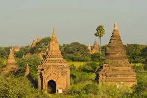 Myanmar. Bagan. View of the temples dotting the plain of Bagan from the Minochantha Myanmar. Bagan. View of the temples dotting the plain of Bagan from the Minochantha