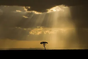 African Sunset Images Prints: A mystical sunset