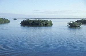 NA, USA, Florida, Lovers Key SRA, Ft. Myers Beach Mangrove Islands off of Long Key NA, USA, Florida, Lovers Key SRA, Ft. Myers Beach Mangrove Islands off of Long Key
