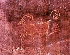 Native American Indian Fremont Sheep Goat Petroglyph Sandstone Mountain Capitol Reef Native American Indian Fremont Sheep Goat Petroglyph Sandstone Mountain Capitol Reef