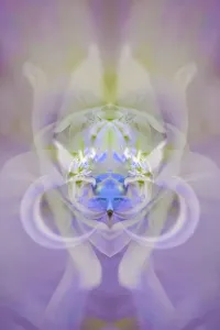 Abstract Nature Photography Prints: Star of Bethlehem and Iris in background