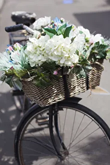 New Zealand, North Island, Martinborough, bicycle with flowers New Zealand, North Island, Martinborough, bicycle with flowers
