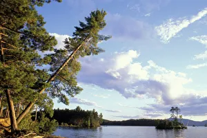 North America, US, ME, Northern Forest. Lily Bay on Moosehead Lake. Lily Bay State Park North America, US, ME, Northern Forest. Lily Bay on Moosehead Lake. Lily Bay State Park