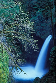 North America; USA; Oregon; Columbia River Gorge; Eagle Creek Metlako Falls North America; USA; Oregon; Columbia River Gorge; Eagle Creek Metlako Falls