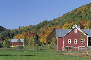 North America, USA, Vermont, Pomfret. Red Barn and fall foliage North America, USA, Vermont, Pomfret. Red Barn and fall foliage