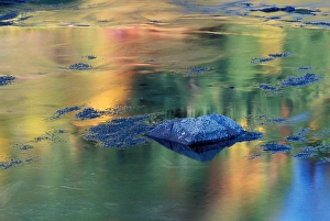 North America; USA; Washington Fall Color Reflection North America; USA; Washington Fall Color Reflection