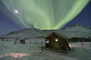 Northern Lights shimmer over the Caribou Bluff cabin in the White Mountain National Northern Lights shimmer over the Caribou Bluff cabin in the White Mountain National