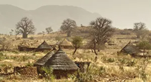 African Mountains Prints: Nuba Mountains