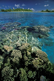 Oceania, French Polynesia, Tuamotus. Raroia Atoll Oceania, French Polynesia, Tuamotus. Raroia Atoll