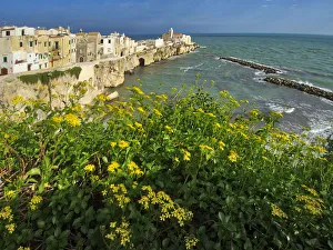 Old town of Vieste cityscape with medieval church at the tip of the peninsula of this Old town of Vieste cityscape with medieval church at the tip of the peninsula of this