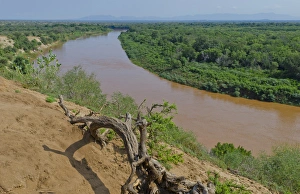 Omo River in Omorate Ethiopia Africa in Lower Omo Valley Omo River in Omorate Ethiopia Africa in Lower Omo Valley