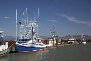 OR, Astoria, East Basin Moorage, Columbia River; Fishing boats OR, Astoria, East Basin Moorage, Columbia River; Fishing boats