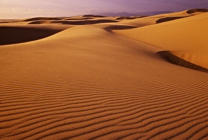 Oregon Dunes National Recreation Area, Oregon at sunset Oregon Dunes National Recreation Oregon Dunes National Recreation Area, Oregon at sunset Oregon Dunes National Recreation