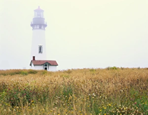 OREGON. USA. Yaquina Head Lighthouse in fog. Pacific Coast OREGON. USA. Yaquina Head Lighthouse in fog. Pacific Coast