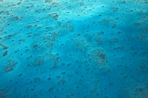 Oyster Reef, Great Barrier Reef Marine Park, North Queensland, Australia - aerial Oyster Reef, Great Barrier Reef Marine Park, North Queensland, Australia - aerial