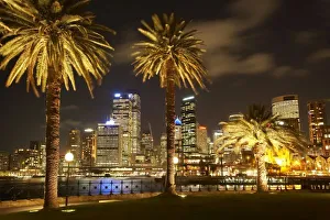 Sydney Central Business District Prints: Palm Trees