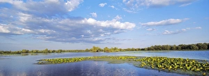 Panorama of lakes and channels in the Danube Delta, romania Panorama of lakes and channels in the Danube Delta, romania