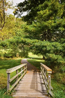 Path, Peaks Of Otter, Blue Ridge Parkway, Smoky Mountains, USA Path, Peaks Of Otter, Blue Ridge Parkway, Smoky Mountains, USA