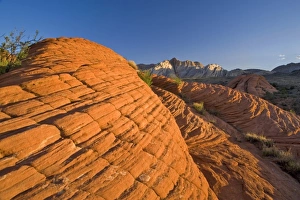 Petrified sand dunes at Snow Canyon State Park near St George Utah Petrified sand dunes at Snow Canyon State Park near St George Utah
