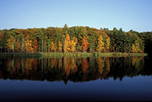 Peverly Pond. Fall foliage reflects in pond. Great Bay N.W.R., Newington, NH Peverly Pond. Fall foliage reflects in pond. Great Bay N.W.R., Newington, NH