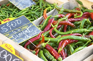Pimiento pepper, piment, chili peppers red and green, for 5 euro per kilo, for sale Pimiento pepper, piment, chili peppers red and green, for 5 euro per kilo, for sale