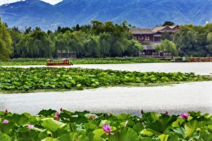 Pink Lotus Pads Garden Boat Buildings Summer Palace Beijing China Pink Lotus Pads Garden Boat Buildings Summer Palace Beijing China