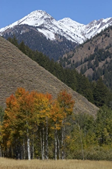 The Pioneer Mountains near Sun Valley, Idaho, USA The Pioneer Mountains near Sun Valley, Idaho, USA