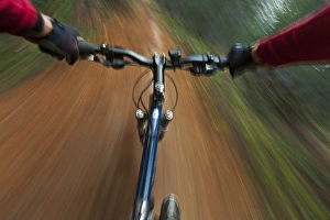 Point of view of singletrack riding at the Pig Farm Trails near Whitefish, Montana, USA Point of view of singletrack riding at the Pig Farm Trails near Whitefish, Montana, USA