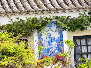 Portugal, Obidos. Flowers growing on walls of the town Portugal, Obidos. Flowers growing on walls of the town