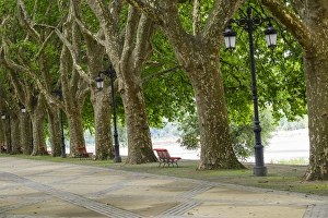 Portugal, Ponte de Lima. Oldest city in Portugal. Tree lined walk along the Lima River Portugal, Ponte de Lima. Oldest city in Portugal. Tree lined walk along the Lima River