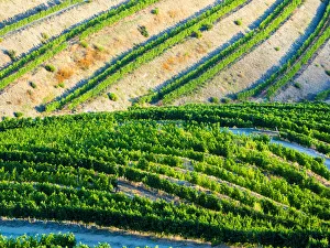 Portugal. Terraced vineyards lining the hills of the Douro Valley Portugal. Terraced vineyards lining the hills of the Douro Valley