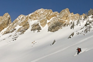 Powder skiing Big Cottonwood Canyon, Uinta-Wasatch-Cache National Forest near Salt Lake City Powder skiing Big Cottonwood Canyon, Uinta-Wasatch-Cache National Forest near Salt Lake City