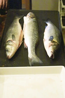 How to prepare fish baked in the oven in salt crust, Clos des Iles Le Brusc, Six Fours How to prepare fish baked in the oven in salt crust, Clos des Iles Le Brusc, Six Fours