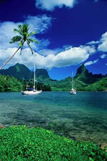 Private yachts anchored in Opunohu Bay on the island of Moorea in the Society islands Private yachts anchored in Opunohu Bay on the island of Moorea in the Society islands