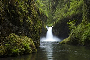 Punch Bowl Waterfall, Eagle Creek, Columbia River Gorge National Scenic Area, Oregon, USA Punch Bowl Waterfall, Eagle Creek, Columbia River Gorge National Scenic Area, Oregon, USA