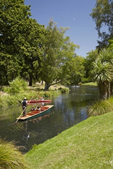 Punting on the Avon, Christchurch, Canterbury, South Island, New Zealand Punting on the Avon, Christchurch, Canterbury, South Island, New Zealand