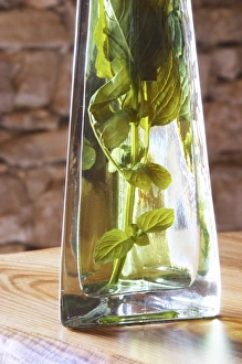Rakija grappa type spirit flavored with herbs, Travarica, Toreta Vinarija Winery Rakija grappa type spirit flavored with herbs, Travarica, Toreta Vinarija Winery