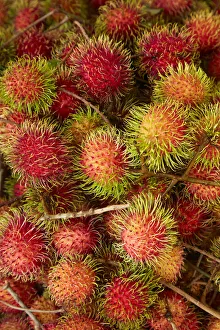 Rambutan fruit at Can Duoc Market, Long An Province, Mekong Delta, Vietnam Rambutan fruit at Can Duoc Market, Long An Province, Mekong Delta, Vietnam