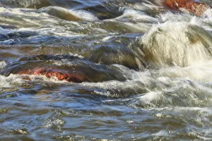 Rapids, Lower Deschutes River, Central Oregon, USA Rapids, Lower Deschutes River, Central Oregon, USA