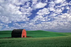 Images Dated 13th February 2004: Red barn in wheat & barley field in Whitman County, Washington state PR (MR)