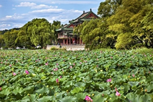 Red Pavilion Lotus Pads Garden Summer Palace Park, Beijing China Willow Green Trees Red Pavilion Lotus Pads Garden Summer Palace Park, Beijing China Willow Green Trees
