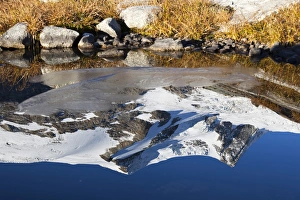 reflection of Mount Hoher Zaun and Mount Schwarze Want in a pond in late fall, Hohe reflection of Mount Hoher Zaun and Mount Schwarze Want in a pond in late fall, Hohe
