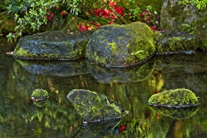 reflections, pond, natural garden, Portland Japanese Garden, Portland, USA reflections, pond, natural garden, Portland Japanese Garden, Portland, USA