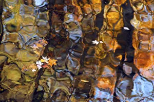 Reflections in Smoky Mountain Creek, Tennessee, USA Reflections in Smoky Mountain Creek, Tennessee, USA