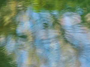 Serene Nature Photography Prints: Rippled reflection in pond