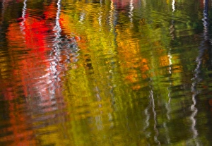 Rippled reflections of fall foliage in Blackledge Pond as the wind blew the water Rippled reflections of fall foliage in Blackledge Pond as the wind blew the water